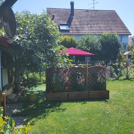 Gite Alsace Appenwihr Екстер'єр фото