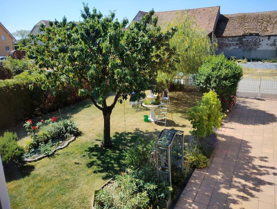 Gite Alsace Appenwihr Екстер'єр фото
