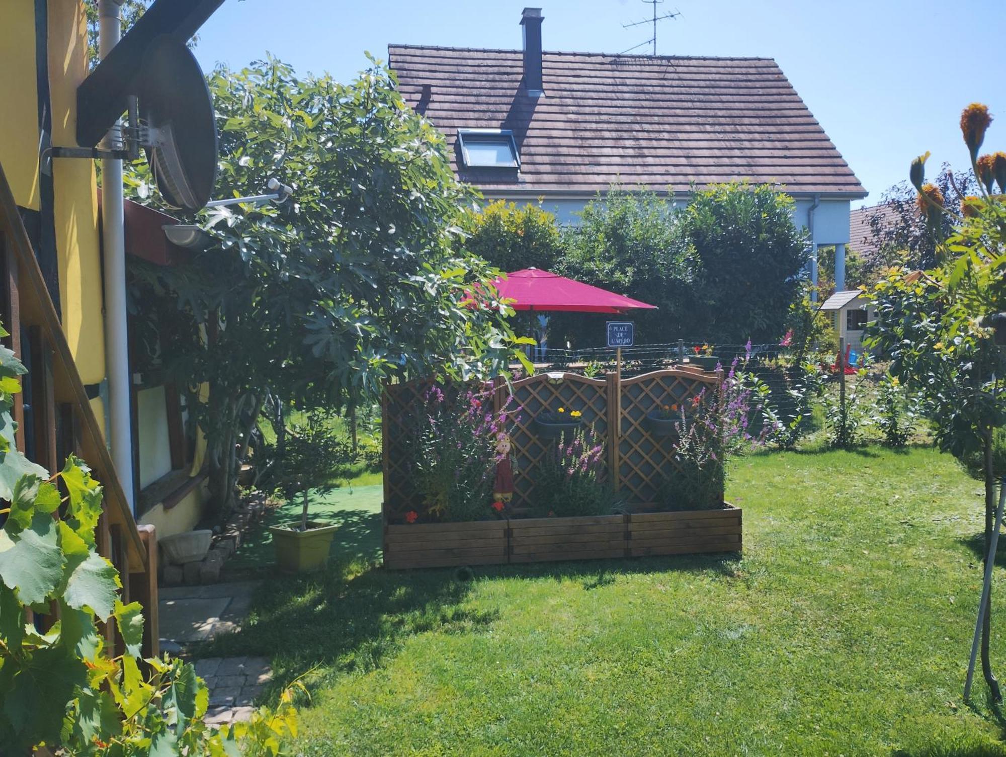 Gite Alsace Appenwihr Екстер'єр фото